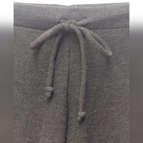 Chaser Palm Tree Lounge Sweats Sweatpants Sz XS Gray New w/o Tags - Picture 3 of 7